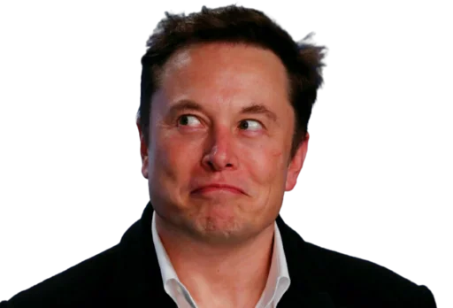 Elon Musk  sticker 🌝