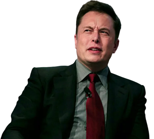 Elon Musk  sticker 🤨