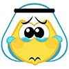 Muslim Emoji emoji 😭