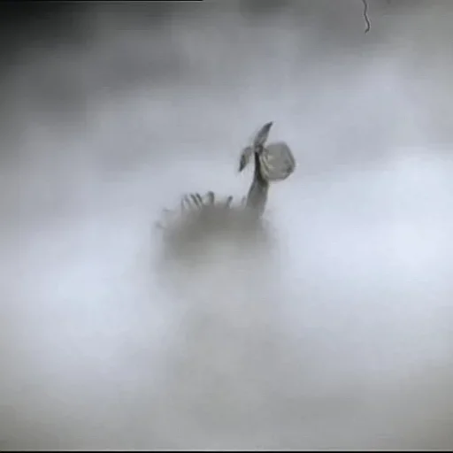 Стікер Ёжик в тумане 🦔