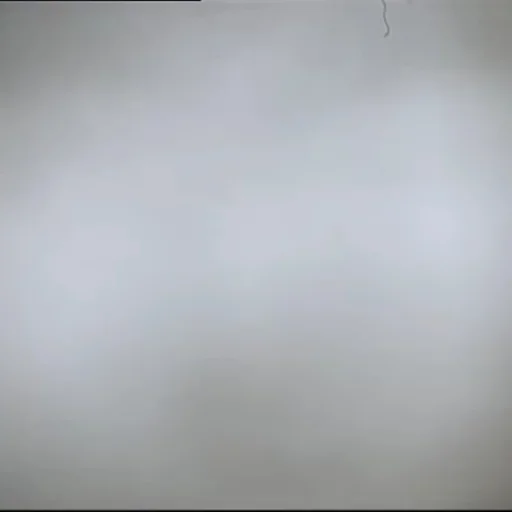 Стікер Ёжик в тумане 🌫