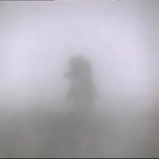 Стікер Ёжик в тумане 🌫