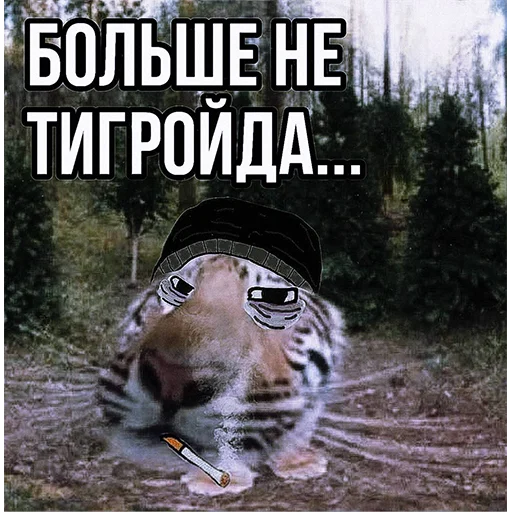 Telegram stiker «Тигр» 🤔