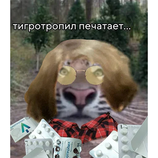 Telegram stiker «Тигр» 🤔