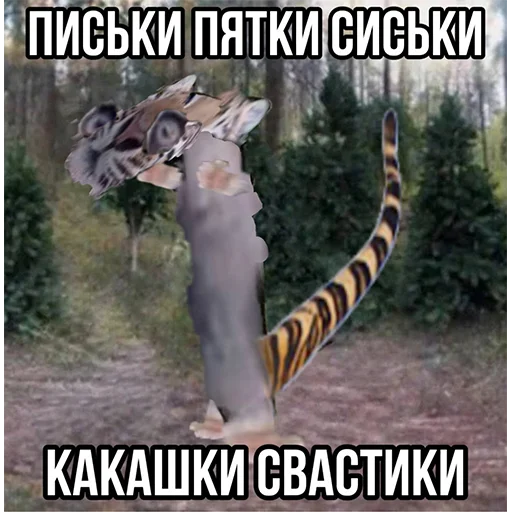 Стікер Telegram «Тигр» 🤔
