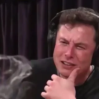 The great Elon Musk emotes 2 emoji 🤔