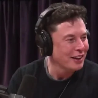 The great Elon Musk emotes 2 emoji 😂