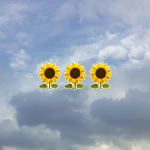 Эмодзи emoji in the sky  🌻