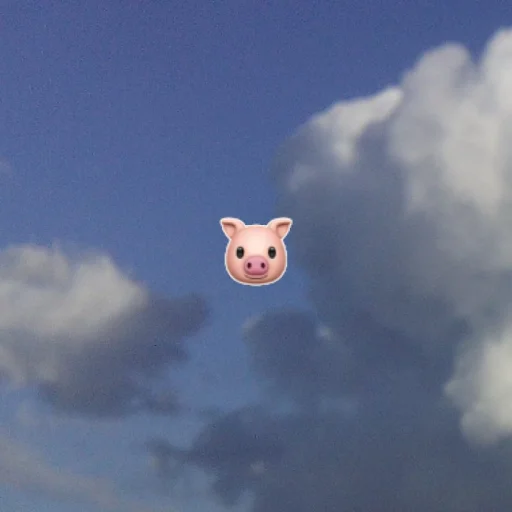 Емодзі emoji in the sky 🐷