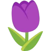 Эмодзи violet  🌷