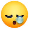 Эмодзи Emojis 😮‍💨