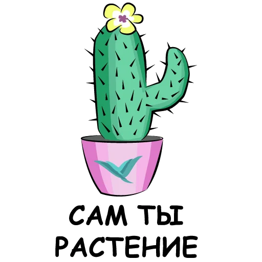 Telegram Sticker «eto kaktus» 😡