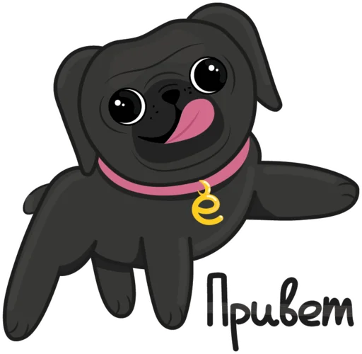 Eva The Pug  emoji 👋