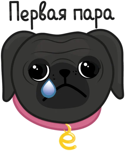 Eva The Pug  emoji 😢