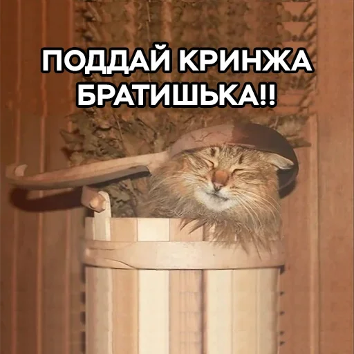 Стікер Telegram «Разрывные котята» 😈