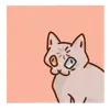 Емодзі Telegram «Кошки» 🗿