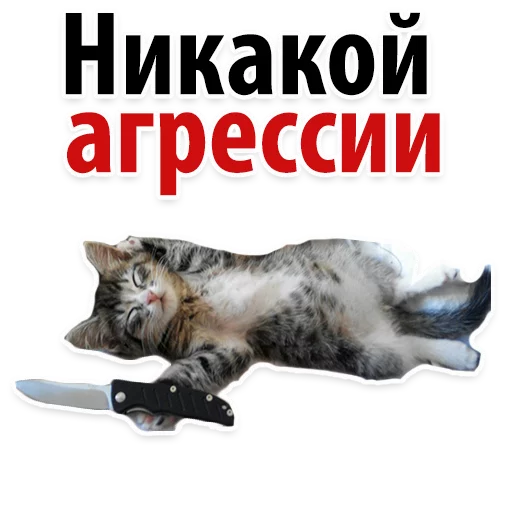 Telegram Sticker «Твои Любимые Фразочки» 