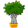 Ficus emoji 🙈