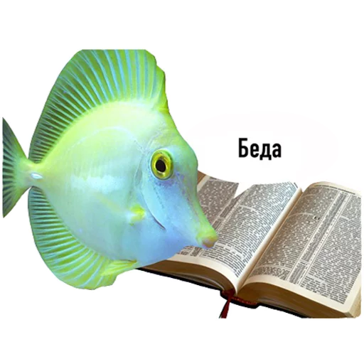 fish stiker 😕