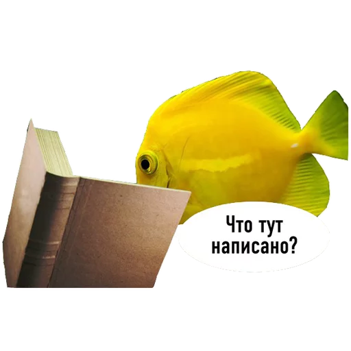 Стікер Telegram «fish» 😕