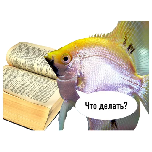 Telegram Sticker «fish» 😕