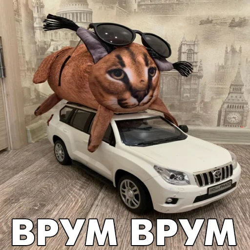 Эмодзи Floppa BLOPTOP 🚘