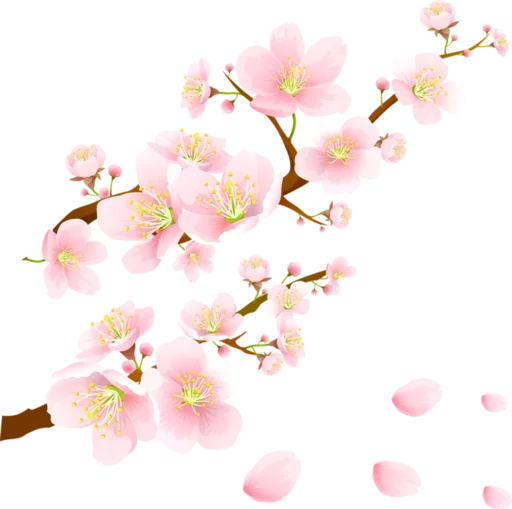 Flores by Helena emoji ☔