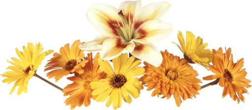 Flores by Helena emoji 💦