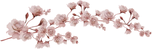 Flores by Helena emoji ⛄