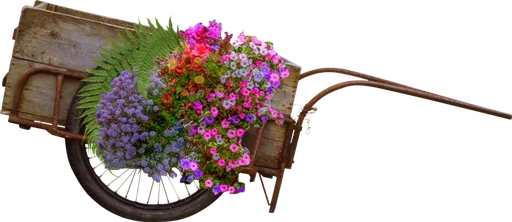 Flores by Helena emoji 🚲