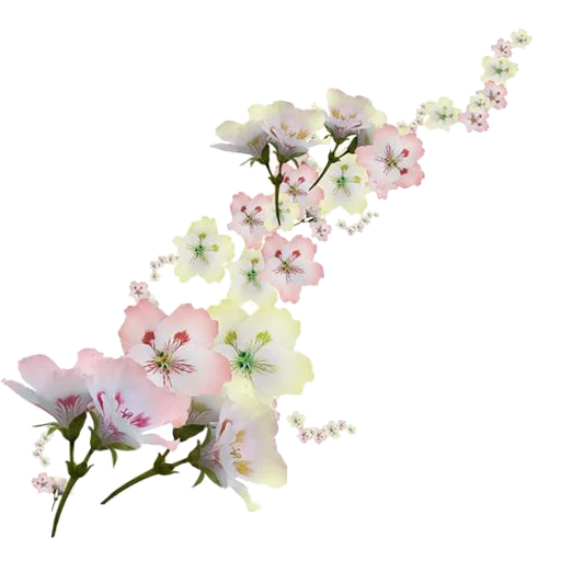 Flores by Helena emoji ✨