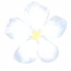 Емодзі телеграм Flower Emoji Set