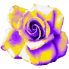 Эмодзи Flower Emoji Set 🌹