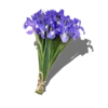 Flowers emoji 🫐