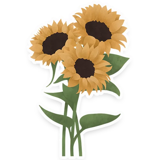 flowers sticker 🌼