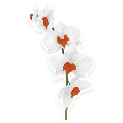 flowers stiker 🌼