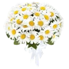 Flowers  emoji 🌼