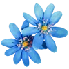 Flowers  emoji 🌸
