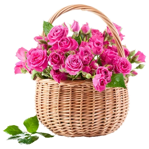 Flowers for Lovely Girl  stiker 🤜