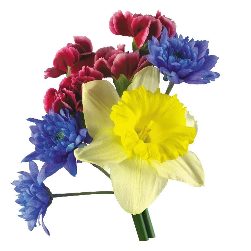Flowers for Lovely Girl stiker 😽