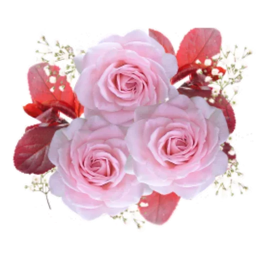 Flowers for Lovely Girl sticker 👇