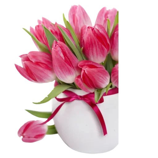 Flowers for Lovely Girl  stiker 💄