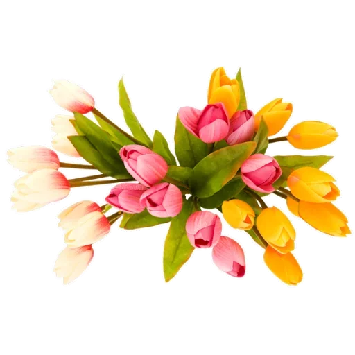 Flowers for Lovely Girl  stiker 💪