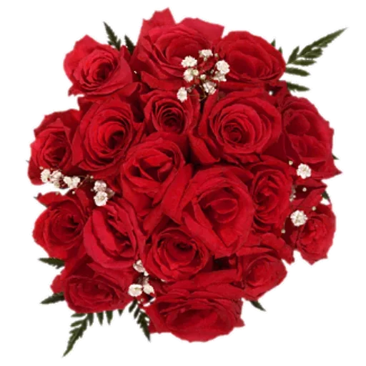 Flowers for Lovely Girl stiker 💋