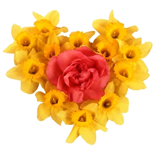 Flowers for Lovely Girl emoji ?
