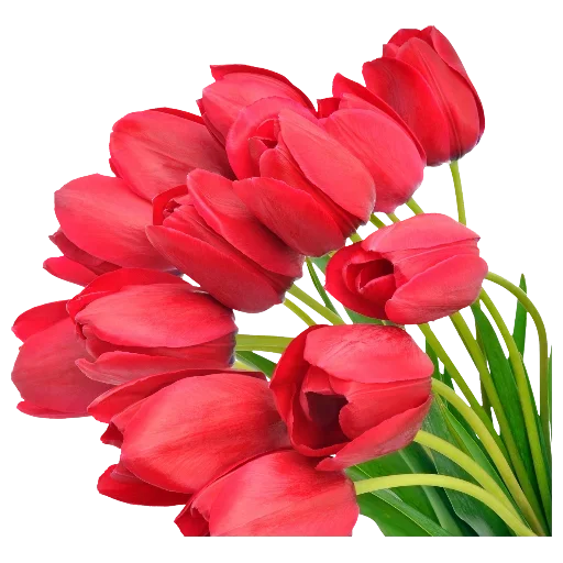 Flowers for Lovely Girl  stiker 🤙