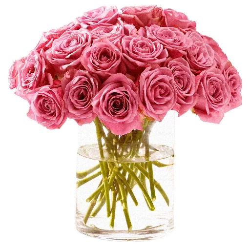 Flowers for Lovely Girl  stiker 👳‍♀️
