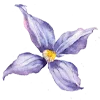 Telegram emoji flowers aesthetics