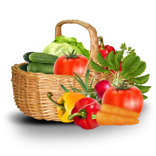 Fruit & Veg Gifts stiker 🥕