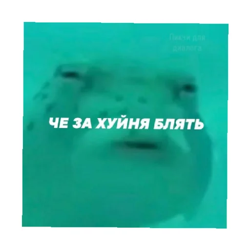 Стикер For every occasion 2 🗿